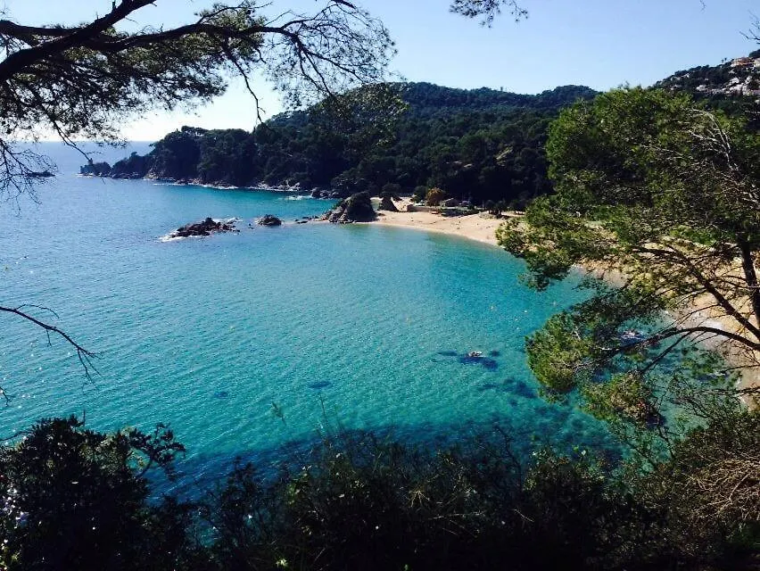 Appartements Les Pesquiers 2 Hyeres Plage France
